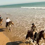 L'oree Des Pins Saint-Jean-de-Monts