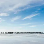 L'oree Des Pins * Saint-Jean-de-Monts