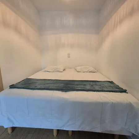 Apartment L'oree Des Pins Saint-Jean-de-Monts